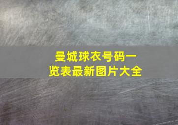 曼城球衣号码一览表最新图片大全