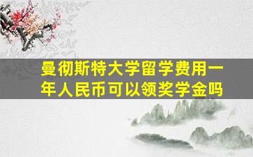 曼彻斯特大学留学费用一年人民币可以领奖学金吗