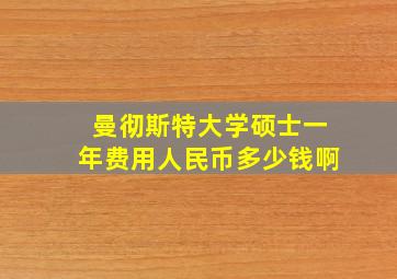 曼彻斯特大学硕士一年费用人民币多少钱啊