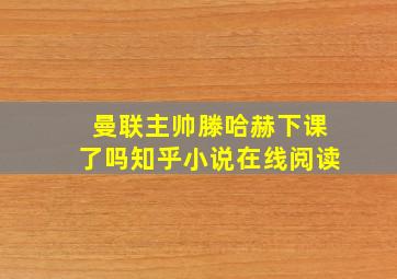 曼联主帅滕哈赫下课了吗知乎小说在线阅读