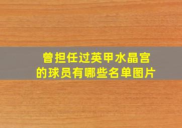 曾担任过英甲水晶宫的球员有哪些名单图片