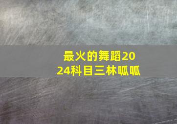 最火的舞蹈2024科目三林呱呱