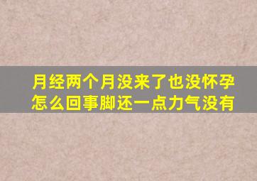 月经两个月没来了也没怀孕怎么回事脚还一点力气没有