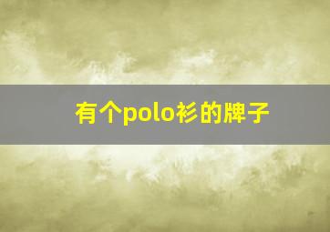 有个polo衫的牌子