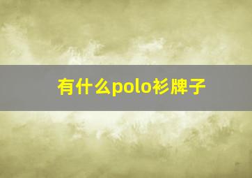 有什么polo衫牌子