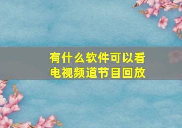 有什么软件可以看电视频道节目回放