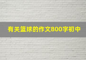 有关篮球的作文800字初中