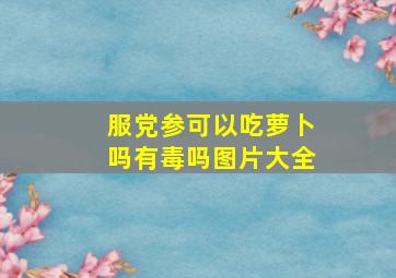 服党参可以吃萝卜吗有毒吗图片大全