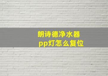 朗诗德净水器pp灯怎么复位