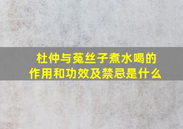 杜仲与菟丝子煮水喝的作用和功效及禁忌是什么