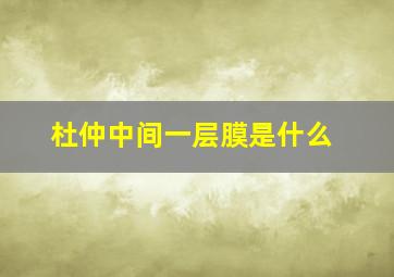 杜仲中间一层膜是什么