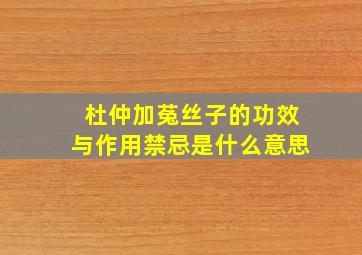 杜仲加菟丝子的功效与作用禁忌是什么意思