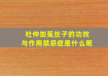 杜仲加菟丝子的功效与作用禁忌症是什么呢