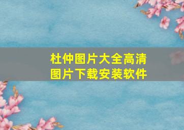 杜仲图片大全高清图片下载安装软件