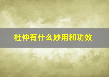 杜仲有什么妙用和功效