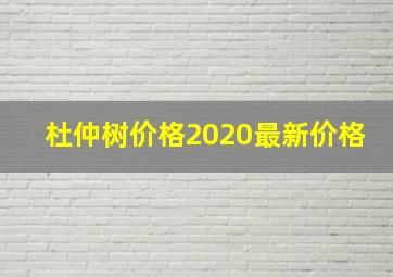 杜仲树价格2020最新价格