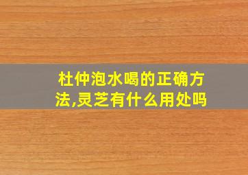 杜仲泡水喝的正确方法,灵芝有什么用处吗