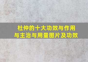 杜仲的十大功效与作用与主治与用量图片及功效