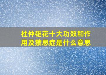 杜仲雄花十大功效和作用及禁忌症是什么意思