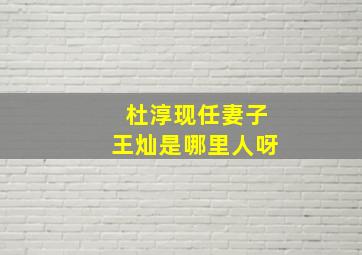 杜淳现任妻子王灿是哪里人呀