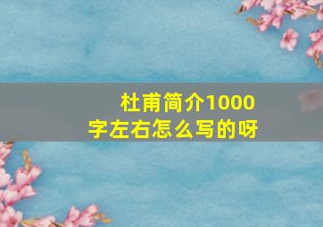 杜甫简介1000字左右怎么写的呀