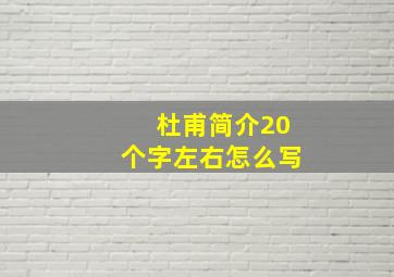 杜甫简介20个字左右怎么写