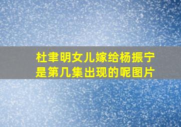 杜聿明女儿嫁给杨振宁是第几集出现的呢图片