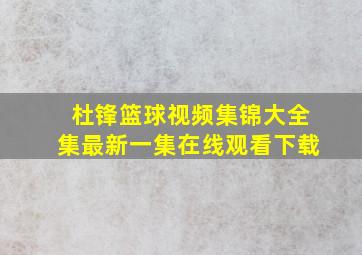 杜锋篮球视频集锦大全集最新一集在线观看下载