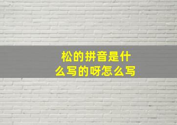 松的拼音是什么写的呀怎么写