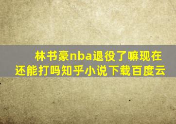 林书豪nba退役了嘛现在还能打吗知乎小说下载百度云