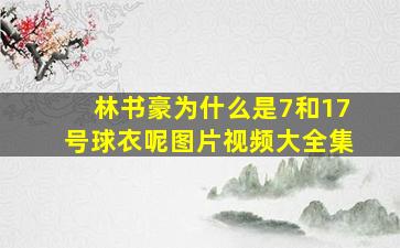 林书豪为什么是7和17号球衣呢图片视频大全集