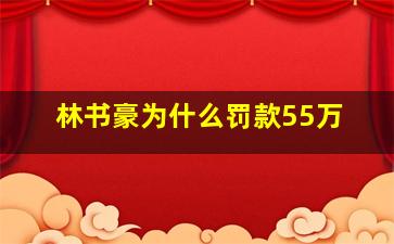 林书豪为什么罚款55万