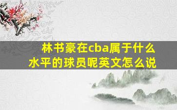 林书豪在cba属于什么水平的球员呢英文怎么说