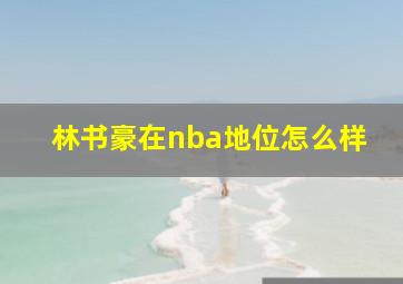 林书豪在nba地位怎么样