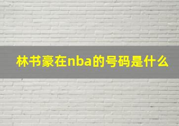 林书豪在nba的号码是什么