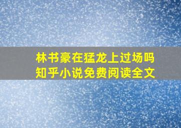 林书豪在猛龙上过场吗知乎小说免费阅读全文