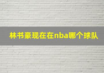 林书豪现在在nba哪个球队