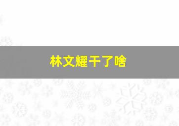 林文耀干了啥