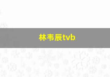 林韦辰tvb