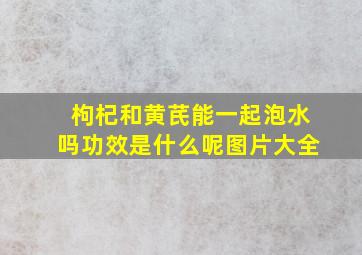 枸杞和黄芪能一起泡水吗功效是什么呢图片大全