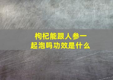 枸杞能跟人参一起泡吗功效是什么