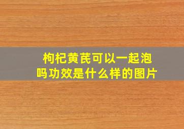 枸杞黄芪可以一起泡吗功效是什么样的图片