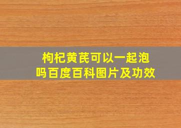 枸杞黄芪可以一起泡吗百度百科图片及功效