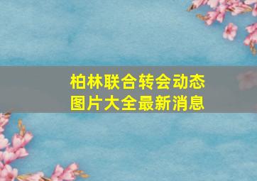 柏林联合转会动态图片大全最新消息