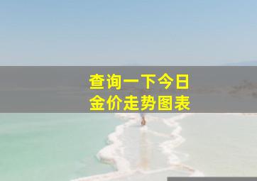 查询一下今日金价走势图表