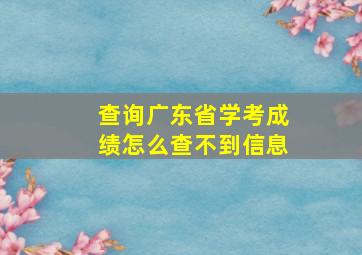 查询广东省学考成绩怎么查不到信息