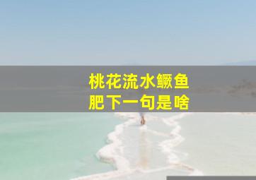 桃花流水鳜鱼肥下一句是啥