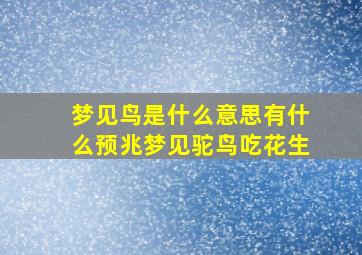 梦见鸟是什么意思有什么预兆梦见驼鸟吃花生