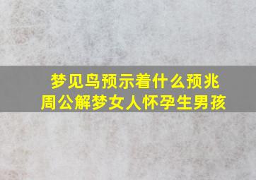 梦见鸟预示着什么预兆周公解梦女人怀孕生男孩