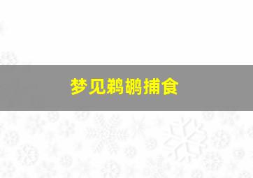 梦见鹈鹕捕食